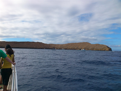 モロキニ島 