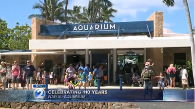 Waikiki Aquarium, (C) khon2
