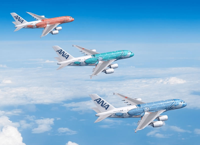エアバスA380型機「FLYING HONU」